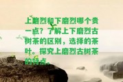 上磨烈和下磨烈哪個貴一點？熟悉上下磨烈古樹茶的區(qū)別，選擇的茶葉。探究上磨烈古樹茶的特點。