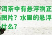 普洱茶中有懸浮物正常嗎圖片？水里的懸浮物是什么？