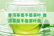 普洱茶是不是茶葉 普洱茶是不是茶葉類