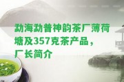 勐海勐普神韻茶廠薄荷塘及357克茶產(chǎn)品，廠長簡介