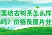 麻栗坡古樹茶怎么樣好喝嗎？價格及圖片分享