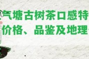 正氣塘古樹茶口感特點、價格、品鑒及地理位置