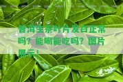 普洱生茶葉片發(fā)白正常嗎？能喝能吃嗎？圖片展示！