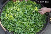 普洱茶的環(huán)境分析