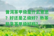 普洱茶甲級(jí)是什么意思？好還是乙級(jí)好？熟茶和生茶甲級(jí)好嗎？