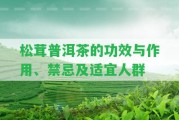 松茸普洱茶的功效與作用、禁忌及適宜人群