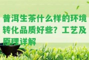 普洱生茶什么樣的環(huán)境轉(zhuǎn)化品質(zhì)好些？工藝及原理詳解