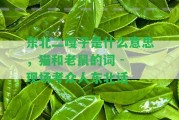 東北二嘎子是什么意思，貓和老鼠的詞 - 現(xiàn)場(chǎng)考眾人東北話(huà)