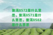 普洱8572是什么意思，普洱8571是什么意思，普洱8582是什么意思