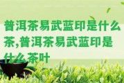 普洱茶易武藍(lán)印是什么茶,普洱茶易武藍(lán)印是什么茶葉