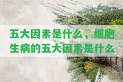 五大因素是什么，細胞生病的五大因素是什么