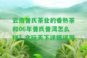 云南普氏茶業(yè)的香熟茶和06年普氏普洱怎么樣？文玩天下詳細(xì)評測