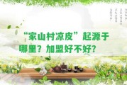 “家山村涼皮”起源于哪里？加盟好不好？