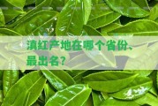 滇紅產(chǎn)地在哪個省份、最出名？