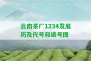 云南茶廠1234發(fā)展歷及代號(hào)和編號(hào)圖