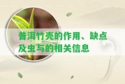 普洱竹殼的作用、缺點(diǎn)及蟲(chóng)與的相關(guān)信息