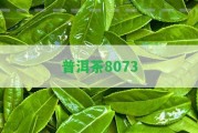 普洱茶8073