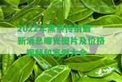 2022年黑茶最新消息曝光圖片及價格，視頻和案例大全