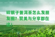 碎銀子普洱茶怎么發(fā)朋友圈？贊美與分享都在這！