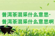 普洱茶混采什么意思-普洱茶混采什么意思啊