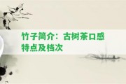 竹子簡介：古樹茶口感特點(diǎn)及檔次