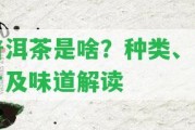 普洱茶是啥？種類、圖片及味道解讀