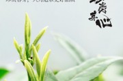 喝完茶容易腎病，茶葉品牌