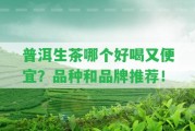 普洱生茶哪個(gè)好喝又便宜？品種和品牌推薦！