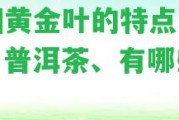 昔歸黃金葉的特點：口感、普洱茶、有哪些特點？