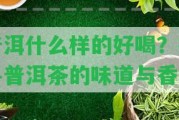 普洱什么樣的好喝？探尋普洱茶的味道與香氣