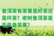 普洱茶有茶果是好茶還是壞茶？老樹普洱茶是不是具備茶果？