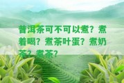 普洱茶可不可以煮？煮著喝？煮茶葉蛋？煮奶茶？煮茶？