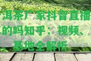 普洱茶廠家抖音直播是真的嗎知乎：視頻、文章、基地全解析