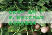 仙女茶葉：品種、產(chǎn)地、制作工藝與品飲方法的全面指南