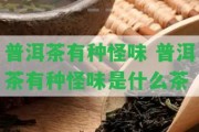 普洱茶有種怪味 普洱茶有種怪味是什么茶