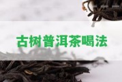 古樹普洱茶喝法