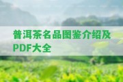 普洱茶名品圖鑒介紹及PDF大全