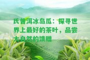 氏普洱冰島瓜：探尋世界上最好的茶葉，品嘗大自然的饋贈