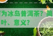 何為冰島普洱茶？簡介、葉、意義？