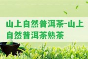 山上自然普洱茶-山上自然普洱茶熟茶