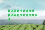 普洱茶野生葉底圖片-普洱茶野生葉底圖片高清