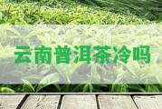 云南普洱茶冷嗎