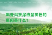 喝普洱茶尿液呈褐色的起因是什么？