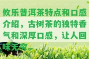 攸樂(lè)普洱茶特點(diǎn)和口感介紹，古樹(shù)茶的特別香氣和深厚口感，讓人回味無(wú)窮。