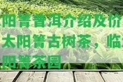 太陽箐普洱介紹及價格，太陽箐古樹茶，臨滄太陽箐茶園