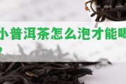 小普洱茶怎么泡才能喝？