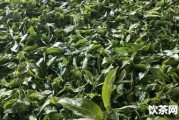 黑茶的由來(lái) 為什么叫黑茶？黑茶為什么叫黑茶?