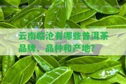 云南臨滄有哪些普洱茶品牌、品種和產(chǎn)地？