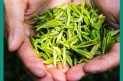 茶對(duì)人體皮膚有什么美容作用？，松花粉的功效與作用及食用方法