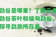 勐谷是哪里？熟悉云南勐谷茶葉和緬甸勐谷，探尋勐泐所在縣。